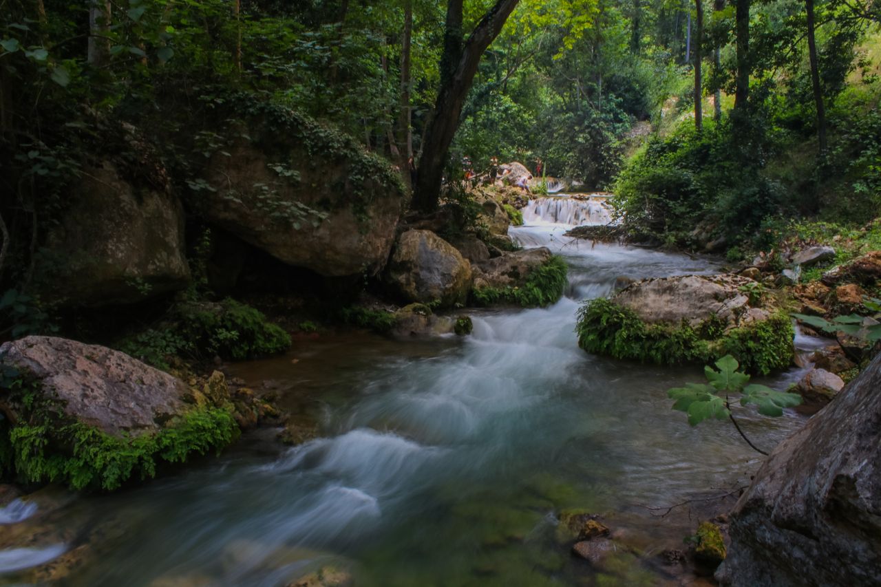 Un cours d’eau bordé d’arbres et de végétation.
