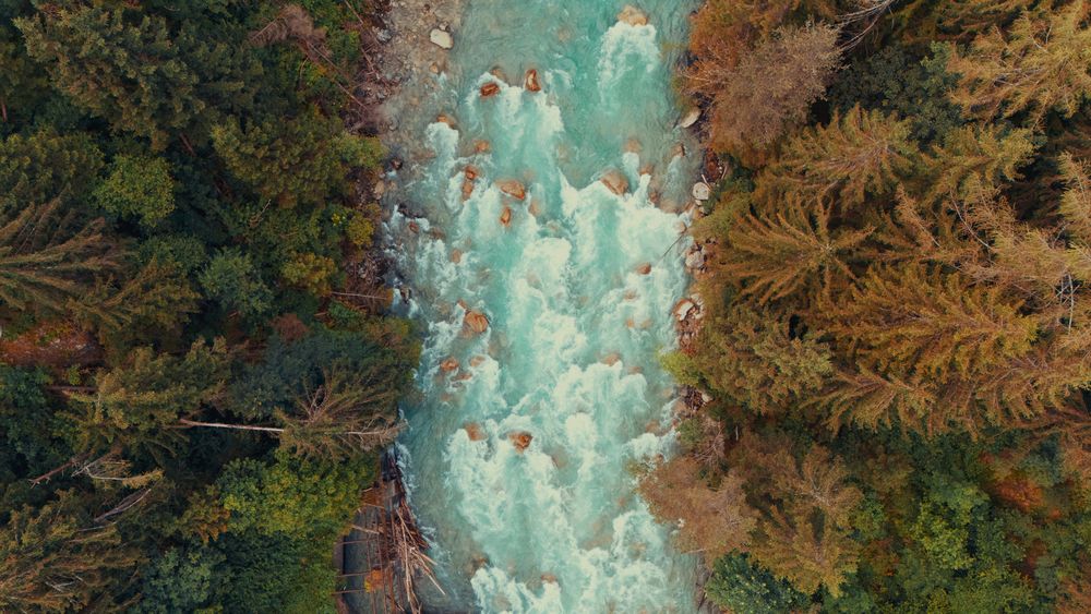 Veduta aerea di un fiume tra rive alberate.